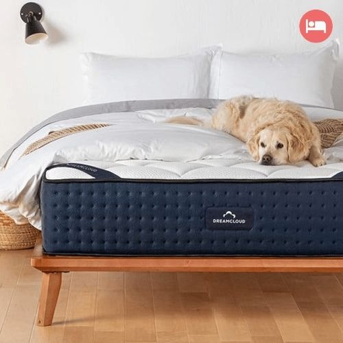 Dreamcloud mattress