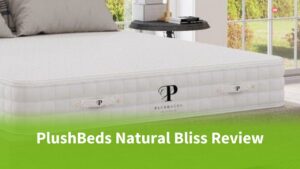PlushBeds Natural Bliss