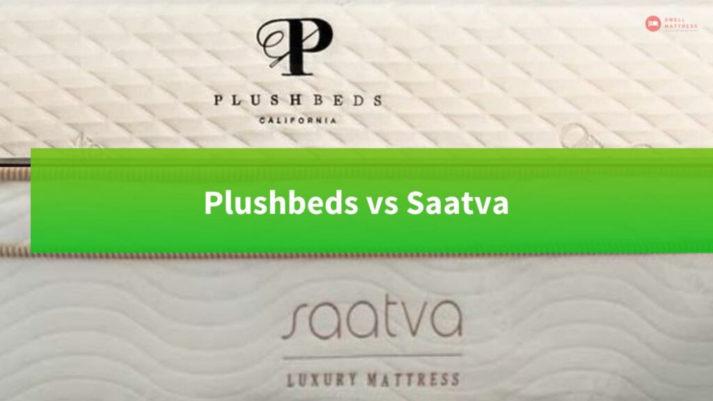 Plushbeds vs. Saatva