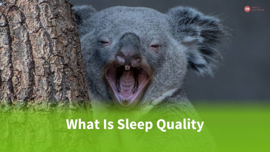 What Is Sleep Quality